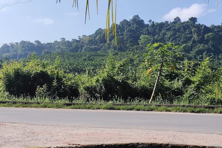 Photo of Pano Eco Resort