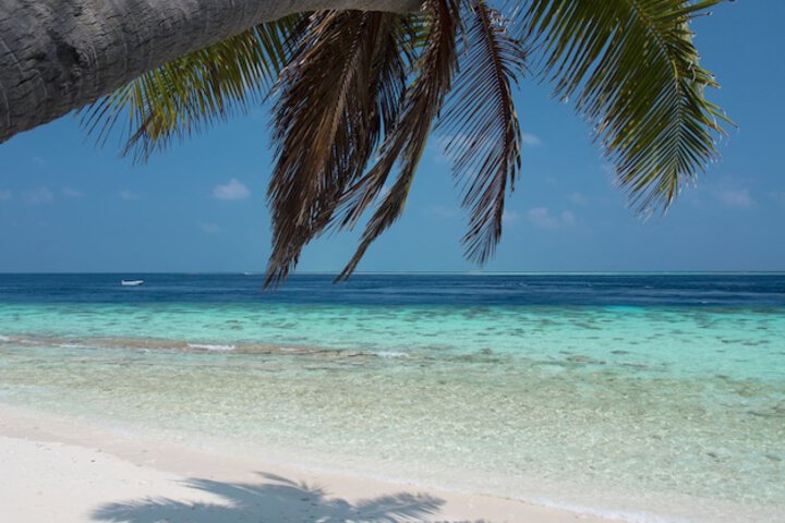 Beach 93 of 106