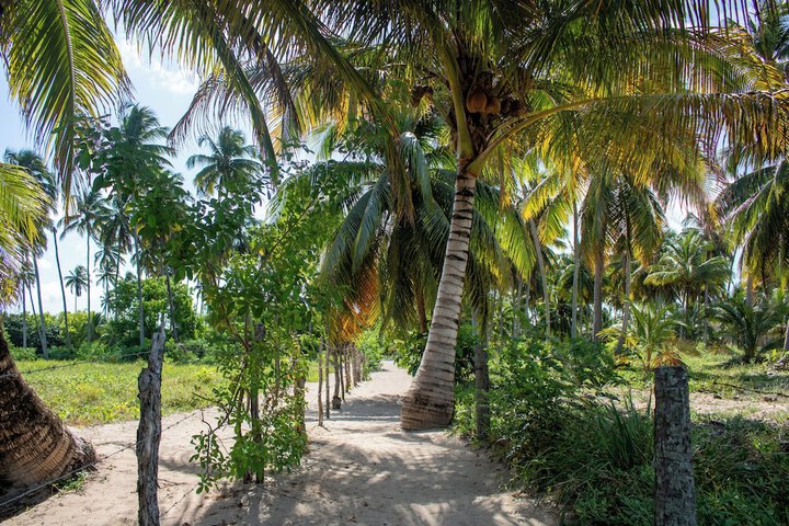 Beach 37 of 45