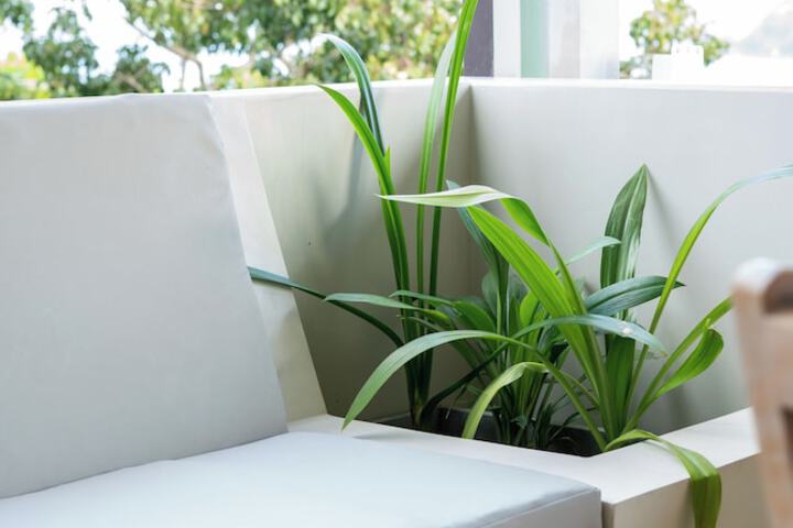 Terrace/Patio 143 of 222