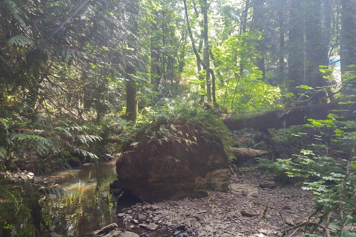 Property Grounds 18 of 24