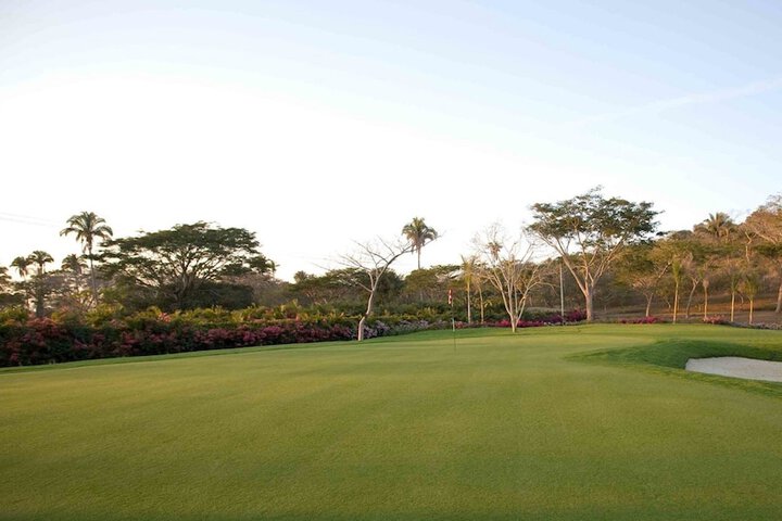 Golf 33 of 46