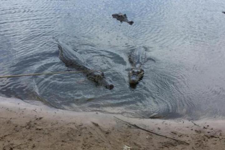 General 38 of 38