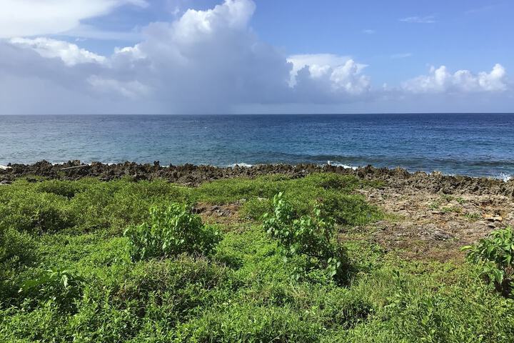 Beach 286 of 292