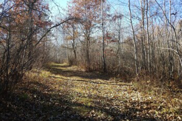 Outdoor Activities 14 of 154