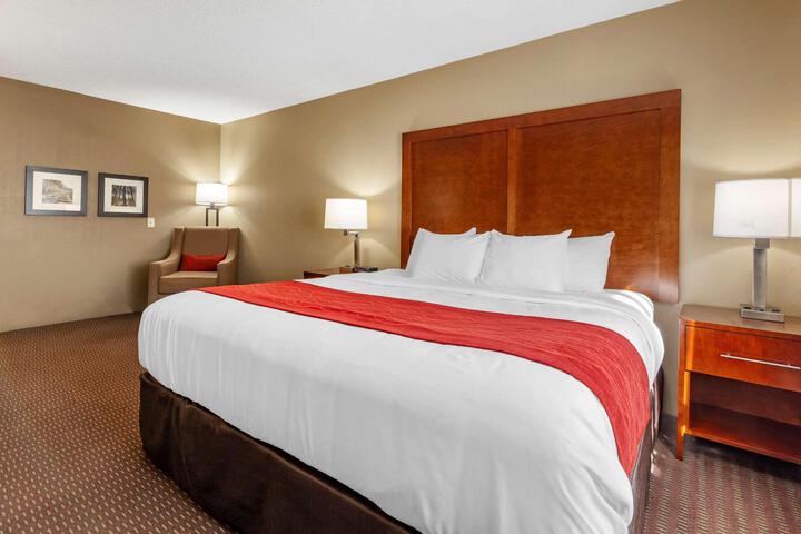 1 King Bed Accessible (2 of 10)