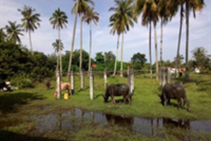 Fitness Center Photo