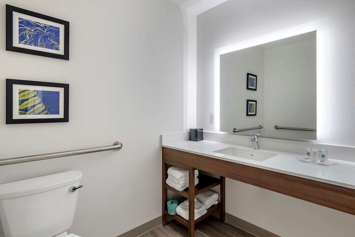 1 King Bed Suite (12 of 23)