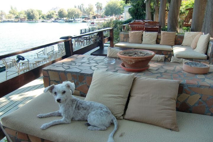 Terrace/Patio 52 of 58