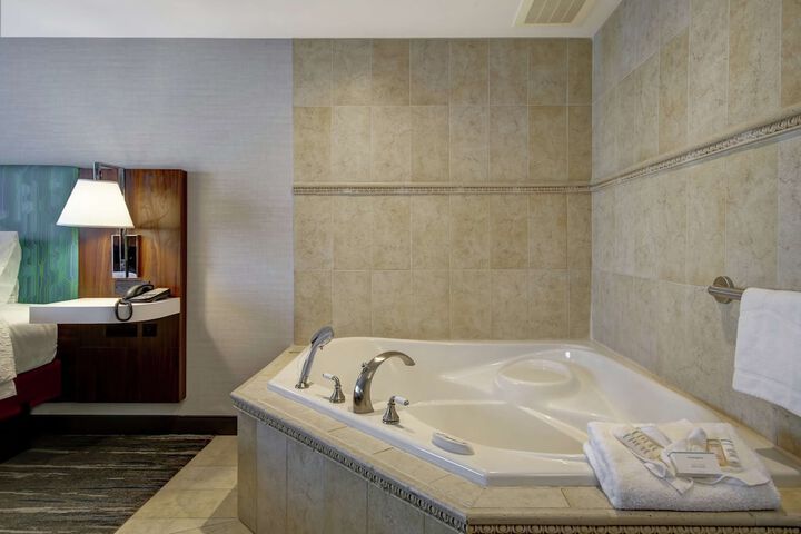 1 King Bed Studio Suite with Sofa Bed (18 of 18)