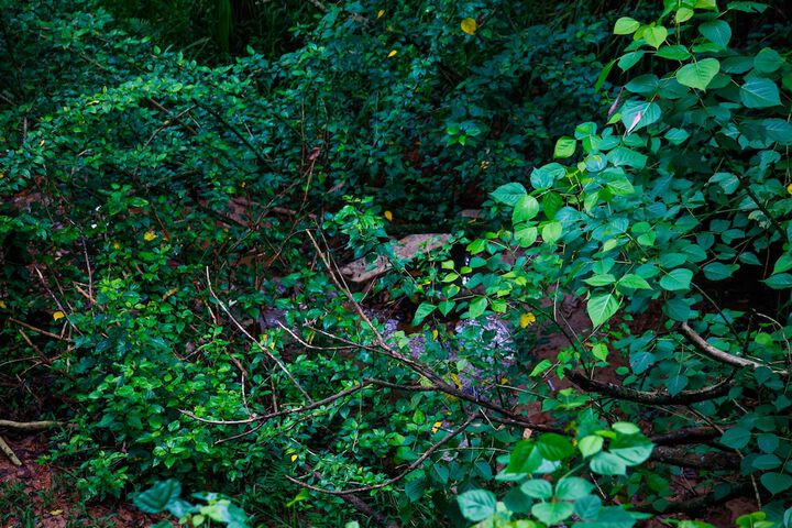 Property Grounds 20 of 44