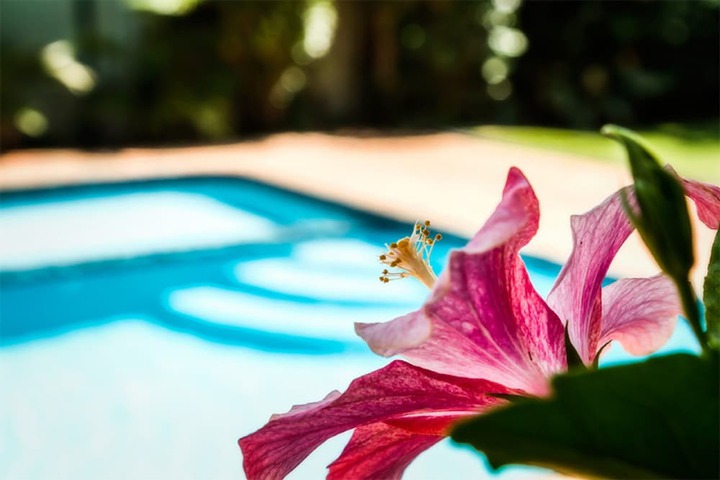 Pool to Cool