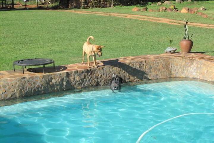 Pool Hotel