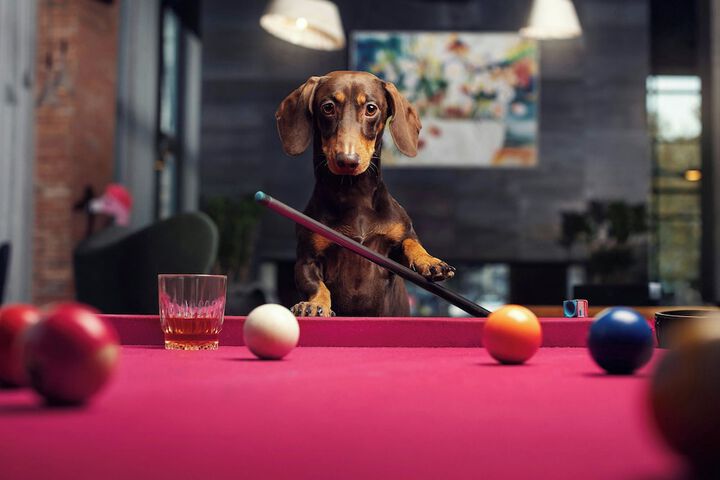 Pool Photo