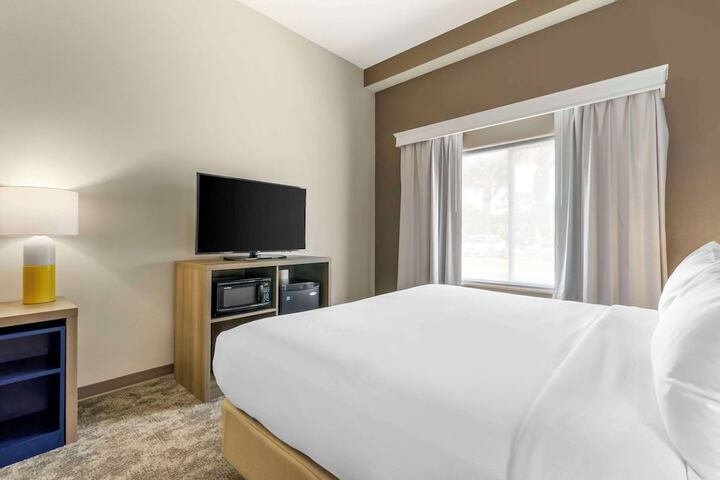 1 King Bed Suite Accessible (6 of 16)