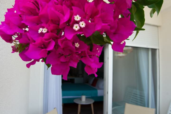 Terrace/Patio 96 of 253