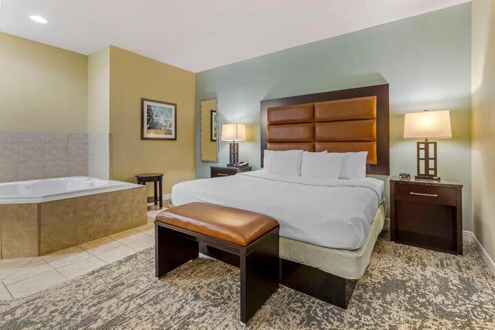 1 King Bed (8 of 10)