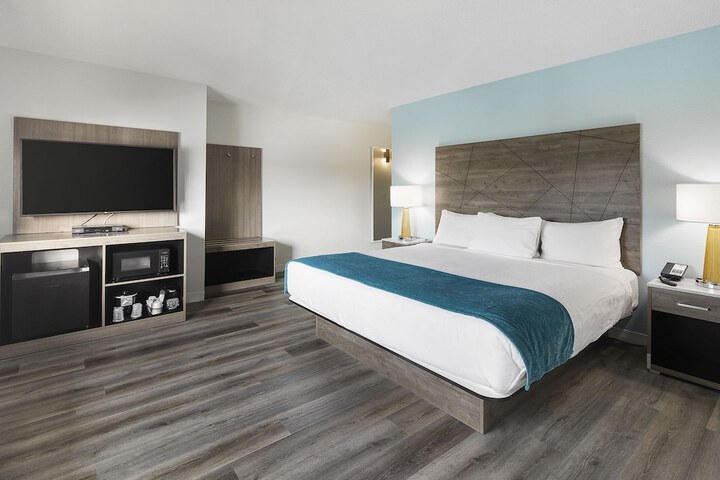 1 King Bed (4 of 9)