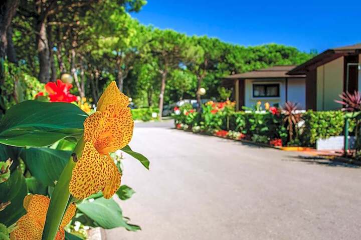 Spa and Wellness Pictures