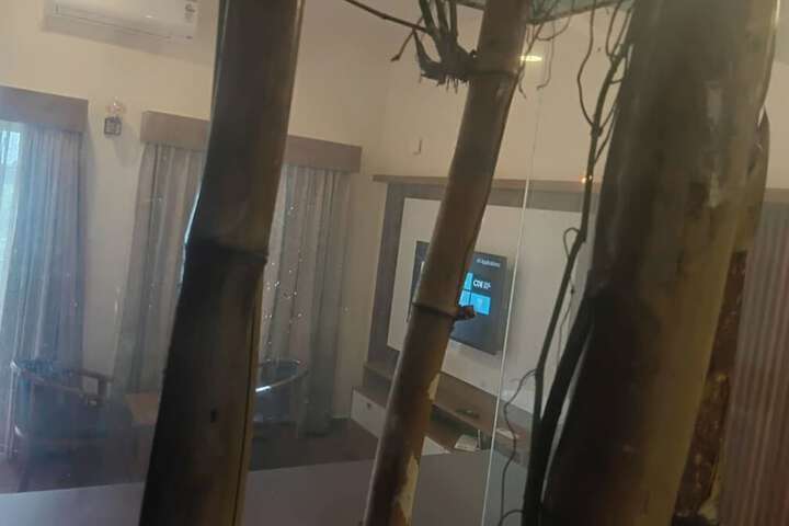 Room 17 of 63