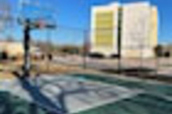 Basketball court