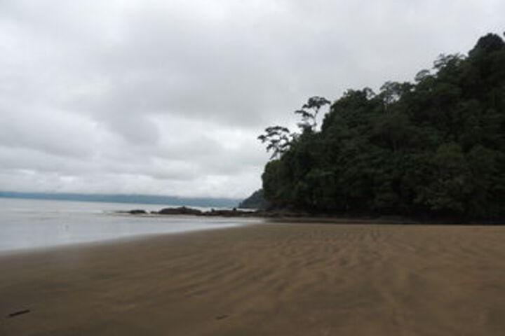 Beach 7 of 70