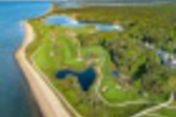 Golf 39 of 300