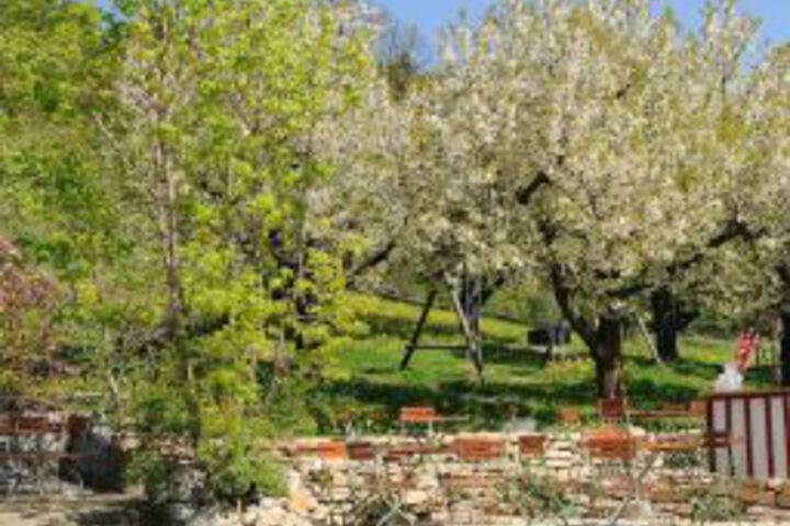 General 8 of 15