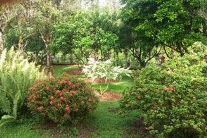 Hotel Exterior 11 of 24