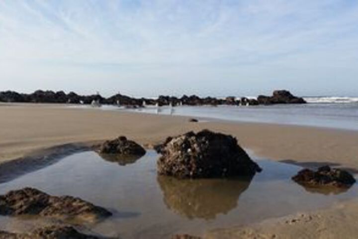 Beach 14 of 57