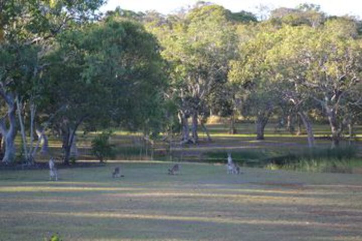 Property Grounds 16 of 20