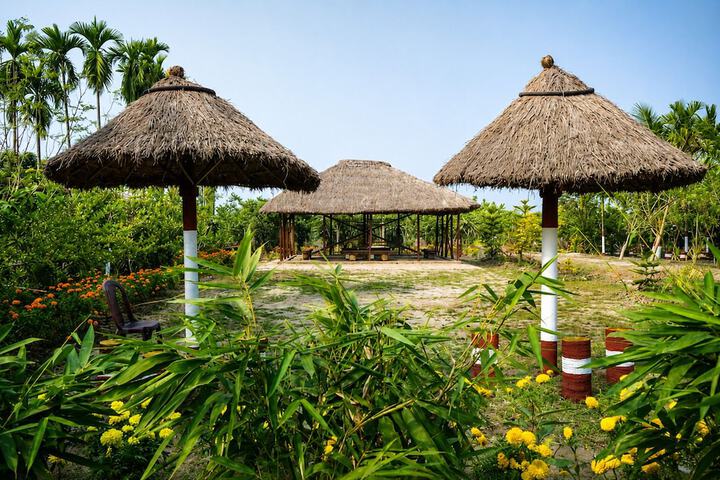 Dragon Fruit Farm Stay