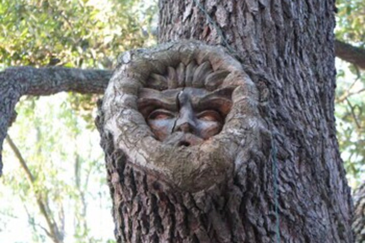 Property Grounds 28 of 31