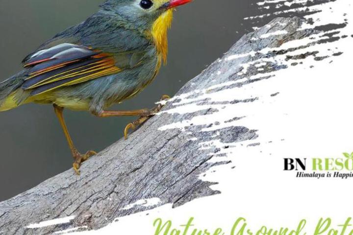 General 24 of 31