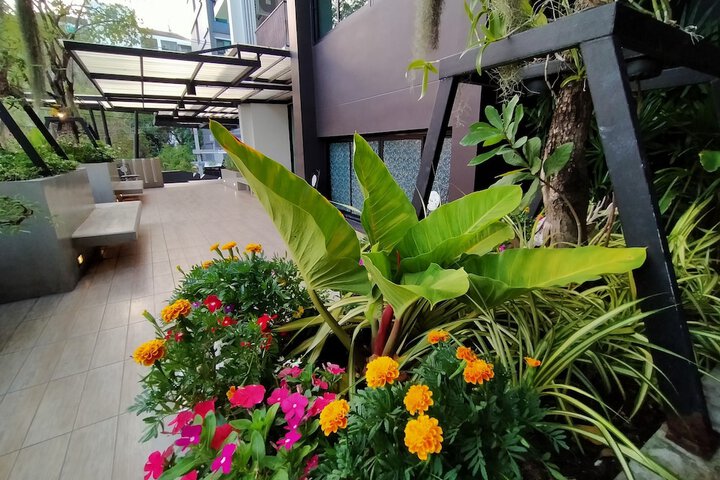 Hotel Exterior 71 of 71