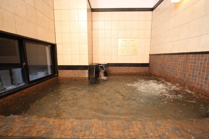 Public bath