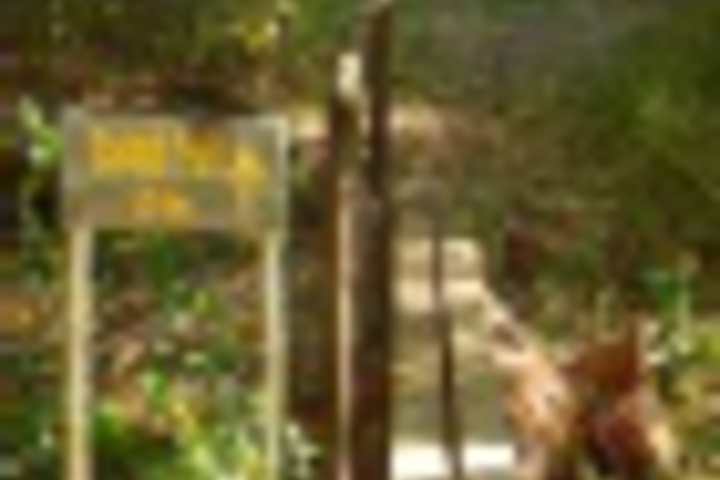 Outdoor Activities 15 of 792