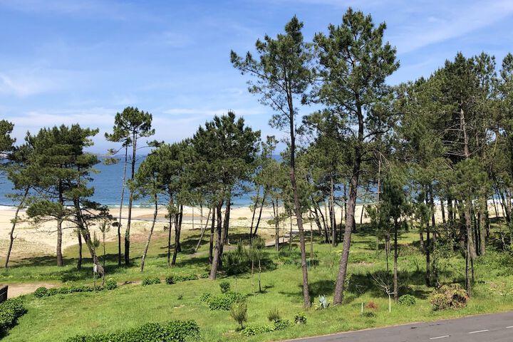 Beach 120 of 136