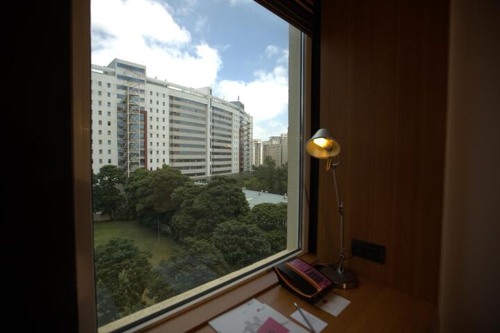 View from room