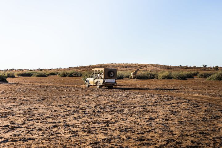 Game drive