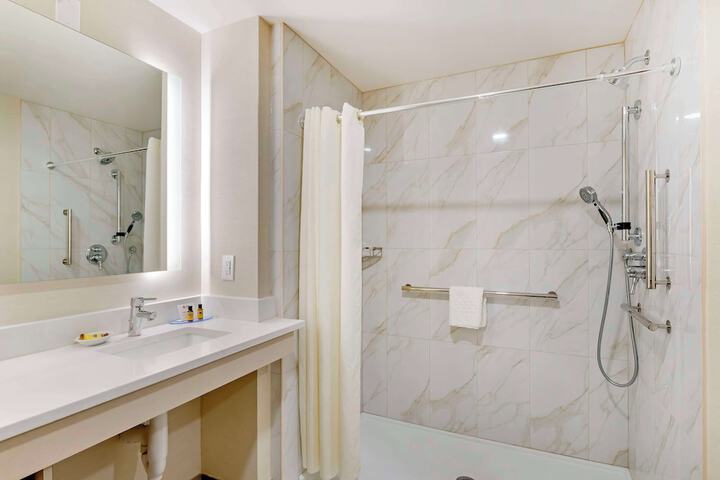 1 King Bed Bathtub Accessible (11 of 14)