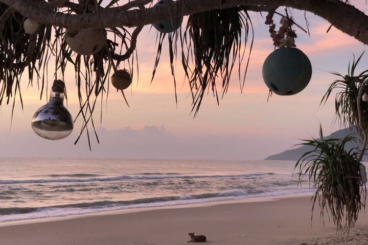 Beach 28 of 65