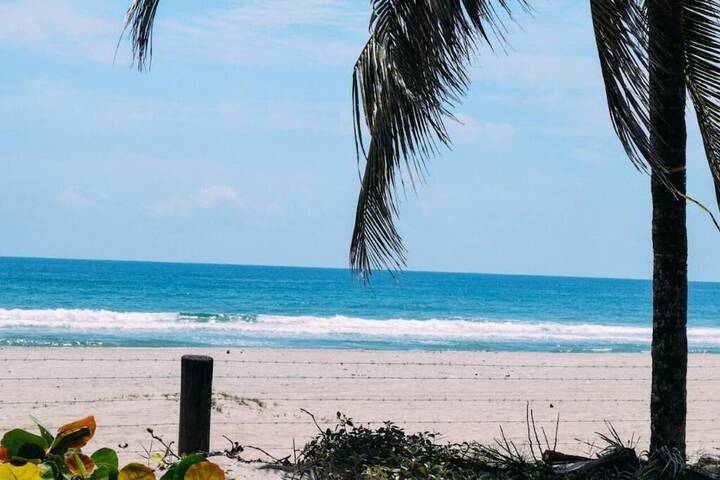 Beach 48 of 57
