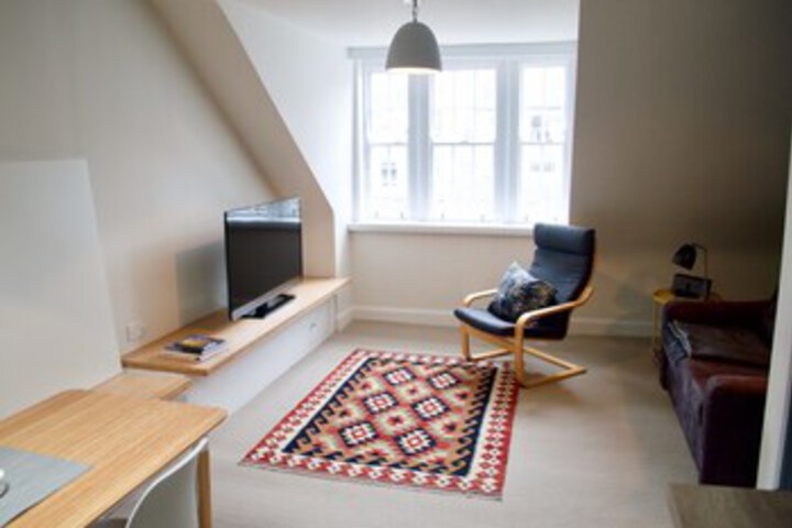 Beautifully Renovated Thistle St. Loft Flat