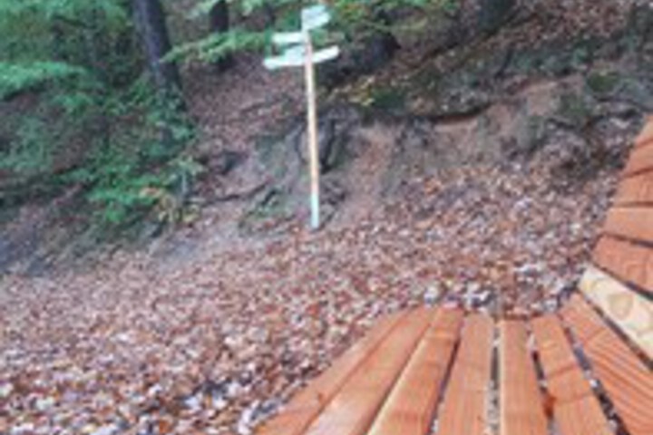 Outdoor Activities 8 of 11