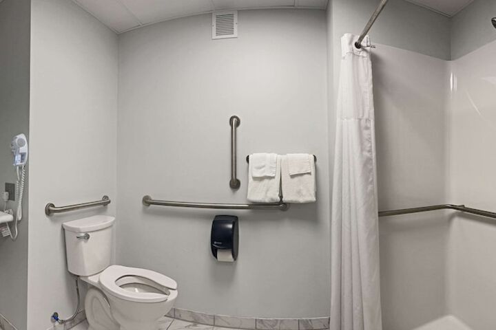 1 King Bed Accessible (8 of 9)