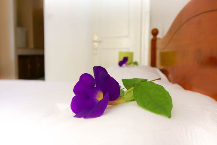 Room 12 of 48