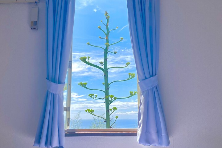Room 18 of 23