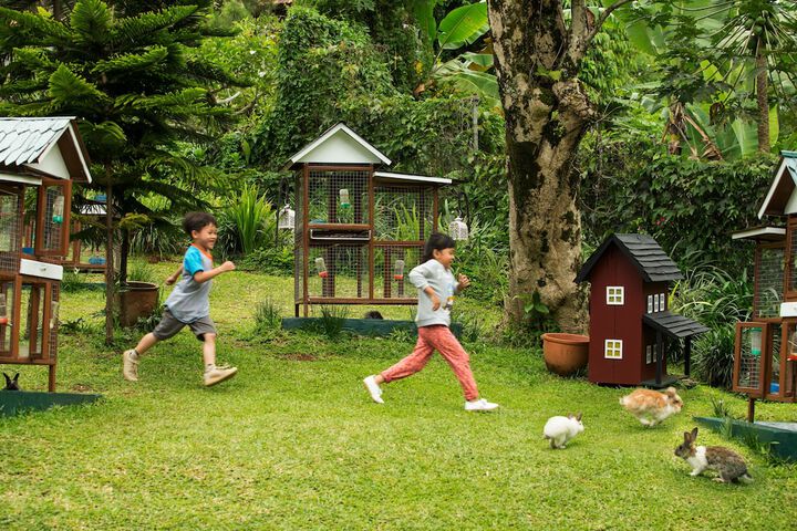 Childrens Activities 87 of 122