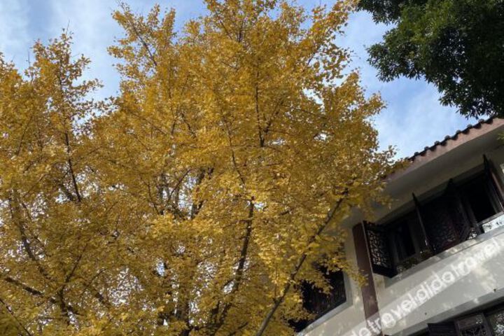 Yunshan Hotel